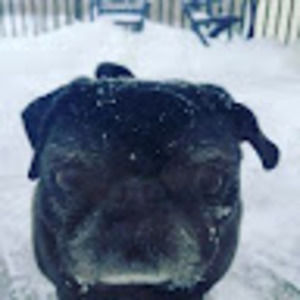 Meet your Posher, Chuck